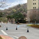 피오르 숲 빌리지 2 | 곤지암 로얄 취사형 L빌리지 | 화담숲 벚꽃 시즌 아기랑 가족모임 후기