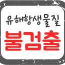 그린밤보 네이버블로그