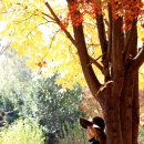 원대 수목원 이미지