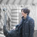 꿀등목장 이미지