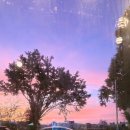 에이플러스푸드 | 화성 향남 맛집 에이플러스! 양꼬치와 러우찐 모두 A+