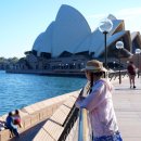 즐거운여행영어 | 아이와 해외여행 추천 호주 시드니 영어 오페라하우스 내부 투어