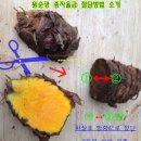 원순농장 이미지