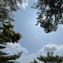 11650-16-91-2 이미지