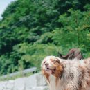 나도나도 이미지