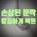 진애견 | 애견가족 필수템! 뜯어진 방문 필름 완벽 복구 후기