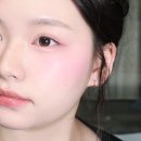 틴트오토 이미지