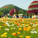 함평신발