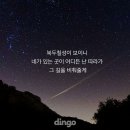 북두칠성 - 강릉시 | 북두칠성