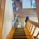 경주애견펜션 해피데이해피독 이미지