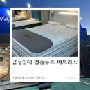 금성 | 금성침대 매트리스 내돈내산 후기 헤스티스 앱솔루트 비교