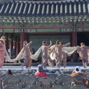 멸치후리는노래 이미지