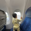 아라골프클럽 | 미야코지마 11월 여행 첫번째이야기