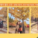 스토리담다