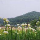 세종펜션