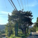 금산 자연 오토캠핑장 | 아이들과 함께하기 좋은 가을 캠핑 대전 근교 금산 자연오토캠핑장 차박 후기