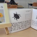 평대초등학교 헤드라인제주