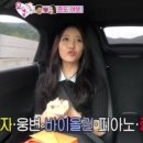 유라태권도 이미지