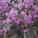 광복호민박 이미지