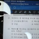 127. 낭만 5월 장미🥀 - 대동제/와인양꼬치/치맥파이브/패요남매/을밀대본점/수질기사필기/romance
