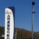 ㈜괴산청천절임배추 영농조합법인 | 선도농가 성공비결(15)노지 콩 스마트팜