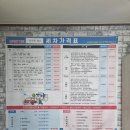 애니모터스 이미지