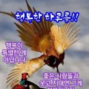 무인까페24시 네이버블로그