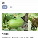 대원철뚝집 네이버블로그