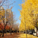 대구선 동촌공원 이미지