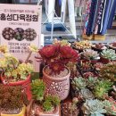 광천미설식품