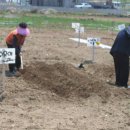 채림농장 이미지