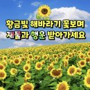 신도시센텀부동산중개 | [공지] (주)송도부동산중개법인 상호 변경, 사무실 이전, 간판 설치 등 완료하였습니다