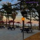 제주도 게스트하우스 파티 빅썸 | 제주도 게하 게스트하우스 숙소 펜션 제주도게스트하우스파티 빅썸 제주도게하 빅썸, 파티의 진수를...