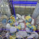 미니돌 홍대점 이미지