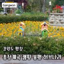 허브내음 | 흥정계곡 허브나라 공원 입장료 주차 강원도 평창 가볼만한 곳