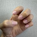 오르네일(ORRNAIL)