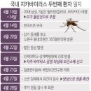 그래픽바이러스 이미지