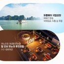 하롱베이 티스토리