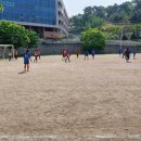 이호운동장 이미지