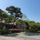 대담미술관 이미지