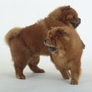 은계동물병원 이미지