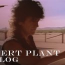 Robert Plant - Big Log 이미지