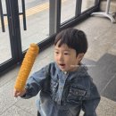 청룡카랜드 | 김해 1박2일 가족여행 1일차｜40개월아기랑 가야랜드 내돈내산 솔직후기