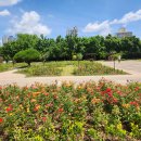 뚝섬한강공원-16 이미지