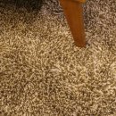 디노테이블 이미지