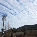 운곡생태습지길 3코스 | 고창 자연생태공원 "운곡 람사르습지" 한겨울 방문후기