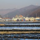 청운목장 이미지