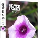 들꽃편지 이미지