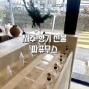 솜누스 호텔 | 제주 선물하기 좋은 디퓨져, 드레스퍼퓸 아라동 파퓨무스