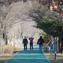 오학 걷고싶은거리 이미지